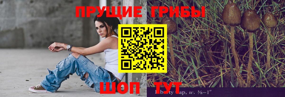 Псилоцибиновые грибы ЛСД  Вход с VPN  Озёрск  Псилоцибиновые грибы Psilocybe 