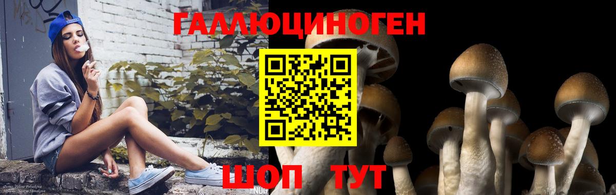 Псилоцибиновые грибы прущие грибы Озёрск